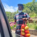 Harties - a quaint culture-rich town Hartbeespoort must-see sights and activities