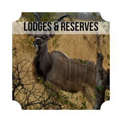Stay at a Lodge or Reserve in Hartbeespoort