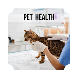 Animal & Pet Health in Harties