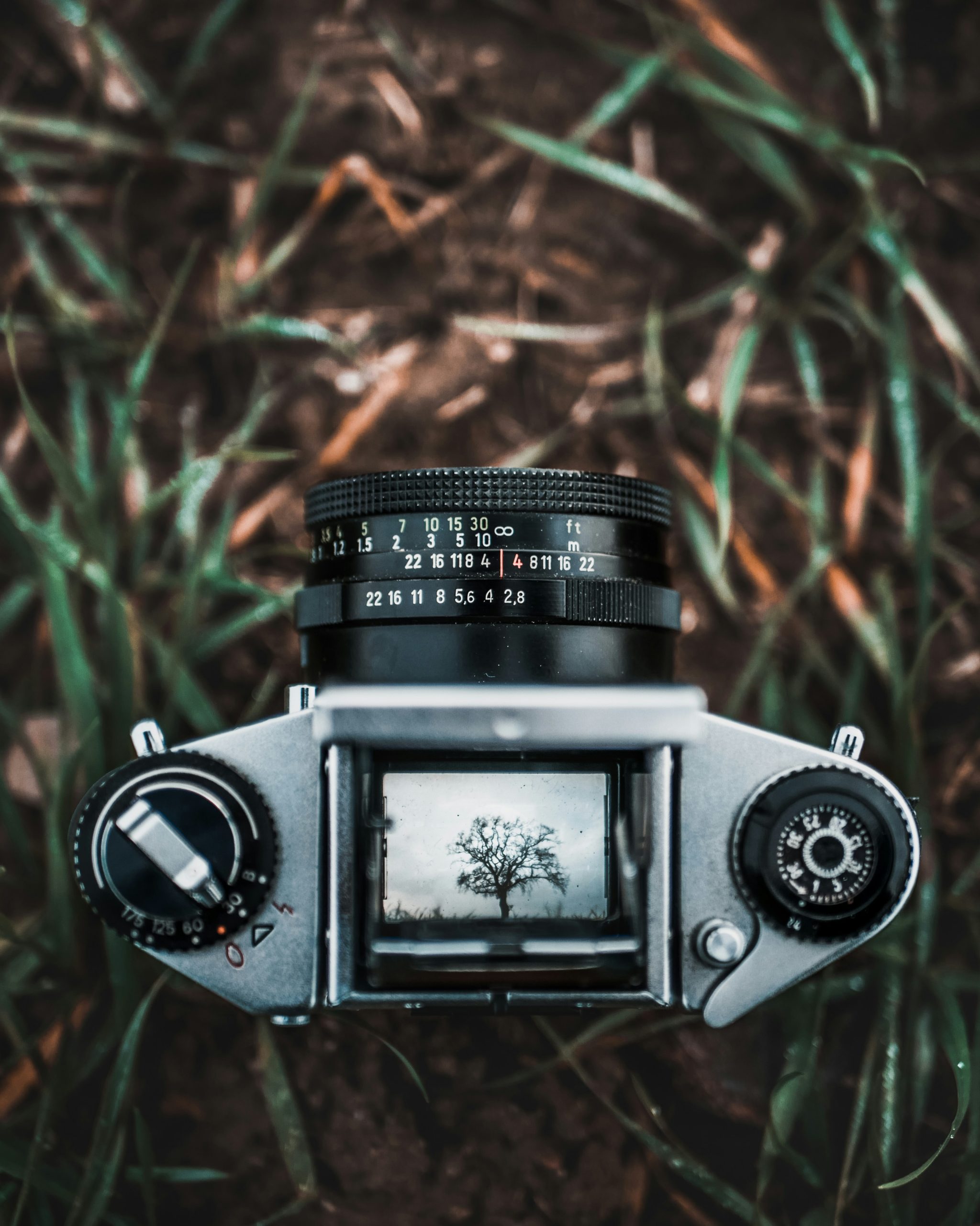 Hartbeespoort Photographers