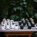 plants4