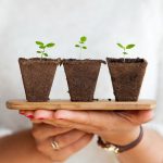 plants5