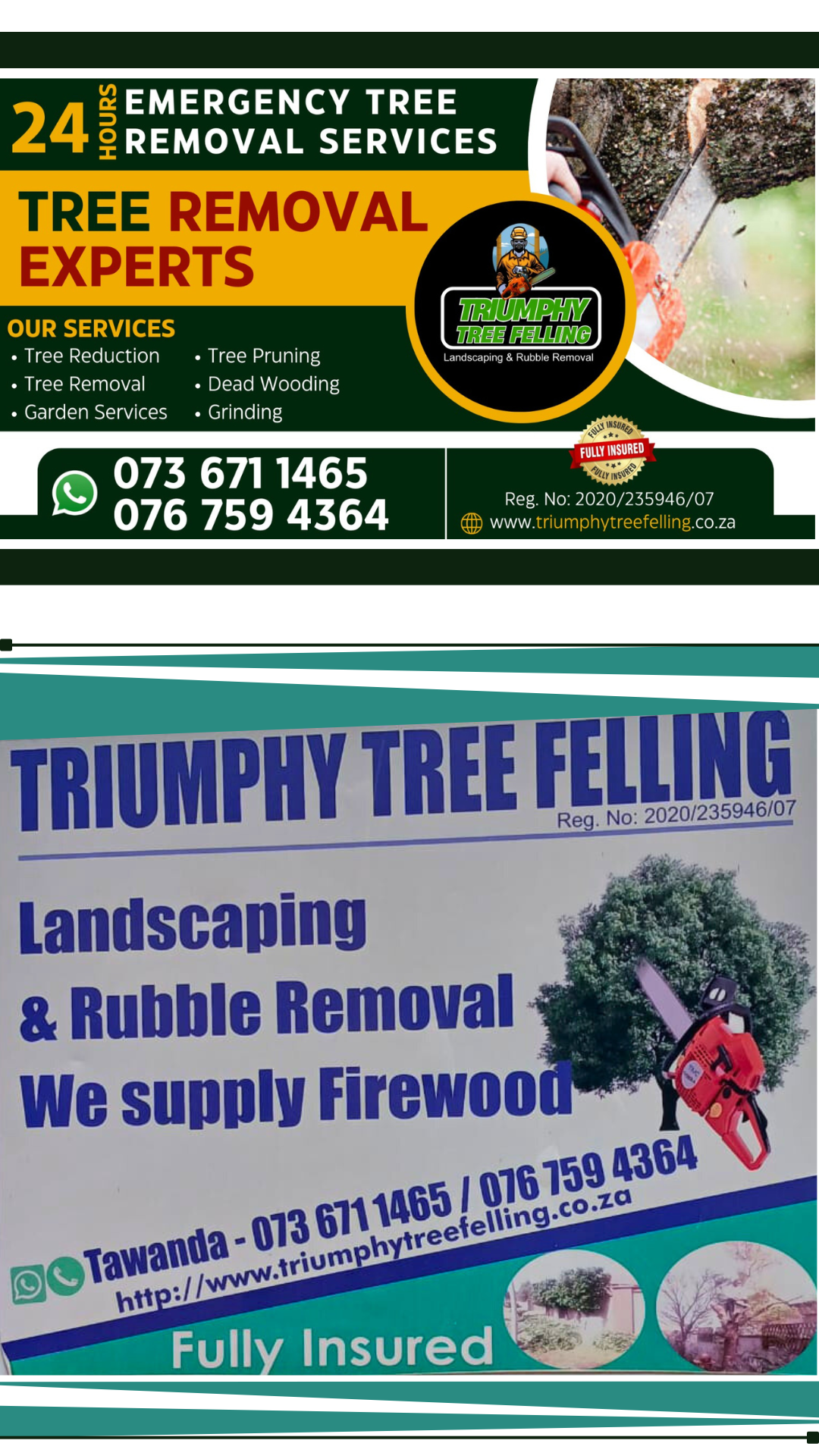 Tree Felling in Harties